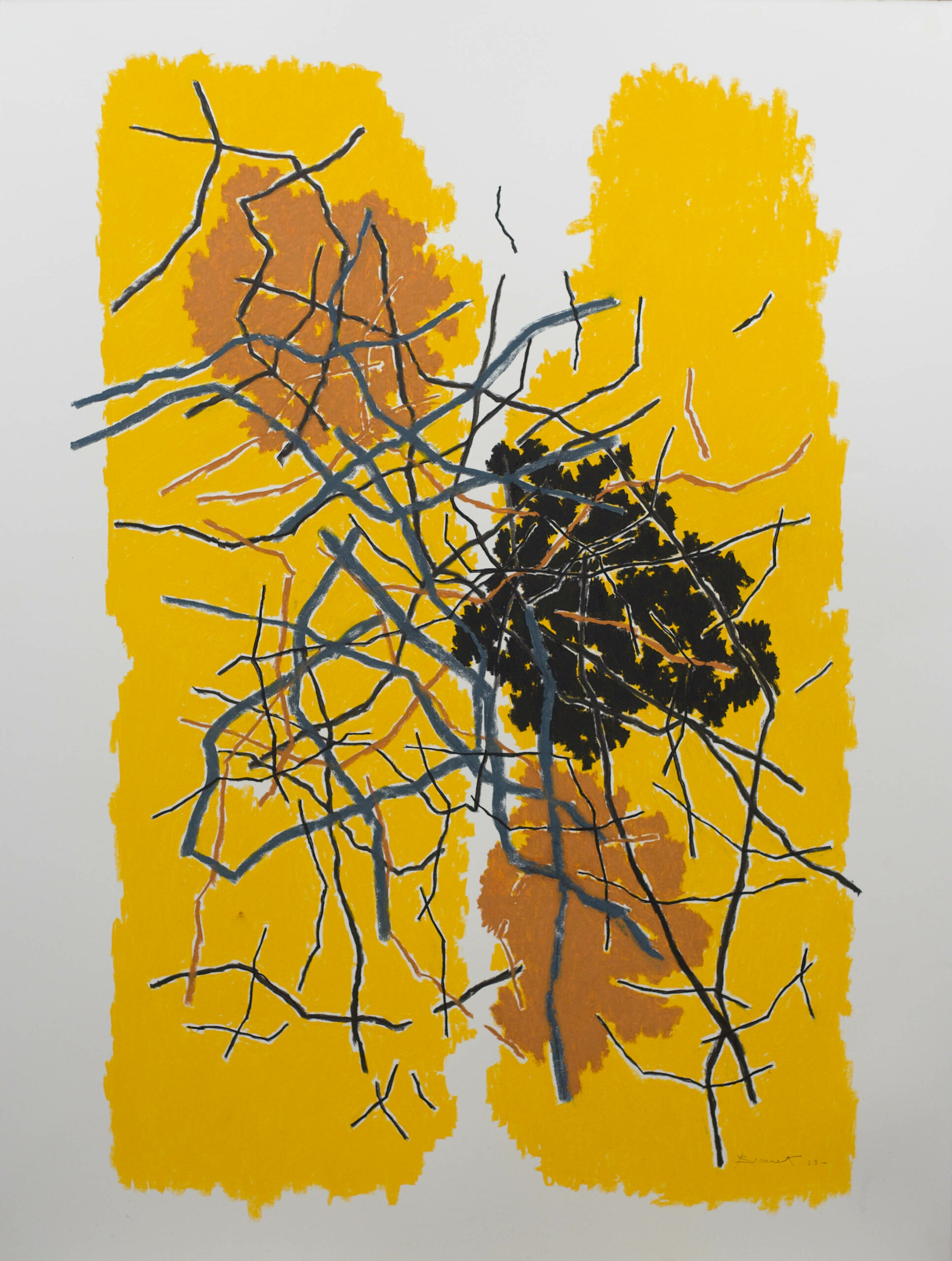 Racines sur fond jaune 2023 Fusain, pierre noire, pastel sur papier, 70 x 50 cm